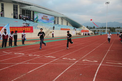 青春激扬展风采 校企联动谱新篇——惠州市技师学院第二届运动会系列报道（一）